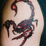 Фото рисунка скорпион 24.11.2018 №364 - photo tattoo scorpion - tattoo-photo.ru