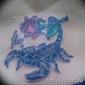 Фото рисунка скорпион 24.11.2018 №365 - photo tattoo scorpion - tattoo-photo.ru