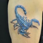 Фото рисунка скорпион 24.11.2018 №371 - photo tattoo scorpion - tattoo-photo.ru