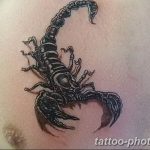 Фото рисунка скорпион 24.11.2018 №372 - photo tattoo scorpion - tattoo-photo.ru