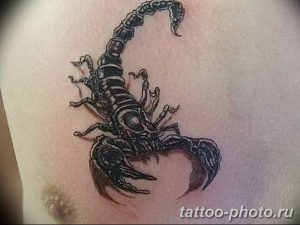 Фото рисунка скорпион 24.11.2018 №372 - photo tattoo scorpion - tattoo-photo.ru