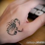 Фото рисунка скорпион 24.11.2018 №375 - photo tattoo scorpion - tattoo-photo.ru