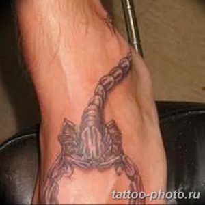 Фото рисунка скорпион 24.11.2018 №376 - photo tattoo scorpion - tattoo-photo.ru