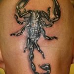 Фото рисунка скорпион 24.11.2018 №377 - photo tattoo scorpion - tattoo-photo.ru