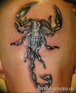 Фото рисунка скорпион 24.11.2018 №377 - photo tattoo scorpion - tattoo-photo.ru