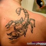 Фото рисунка скорпион 24.11.2018 №387 - photo tattoo scorpion - tattoo-photo.ru
