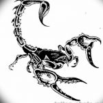 Фото рисунка скорпион 24.11.2018 №393 - photo tattoo scorpion - tattoo-photo.ru