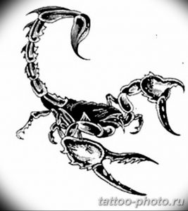 Фото рисунка скорпион 24.11.2018 №393 - photo tattoo scorpion - tattoo-photo.ru