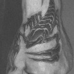 Фото рисунка скорпион 24.11.2018 №395 - photo tattoo scorpion - tattoo-photo.ru