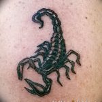 Фото рисунка скорпион 24.11.2018 №396 - photo tattoo scorpion - tattoo-photo.ru