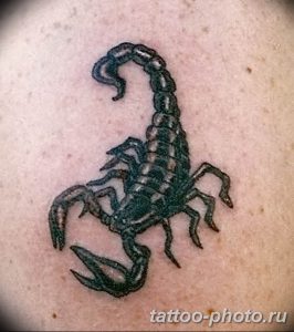 Фото рисунка скорпион 24.11.2018 №396 - photo tattoo scorpion - tattoo-photo.ru