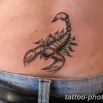 Фото рисунка скорпион 24.11.2018 №397 - photo tattoo scorpion - tattoo-photo.ru