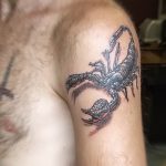 Фото рисунка скорпион 24.11.2018 №398 - photo tattoo scorpion - tattoo-photo.ru