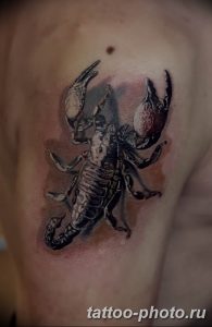 Фото рисунка скорпион 24.11.2018 №400 - photo tattoo scorpion - tattoo-photo.ru