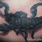 Фото рисунка скорпион 24.11.2018 №406 - photo tattoo scorpion - tattoo-photo.ru