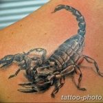 Фото рисунка скорпион 24.11.2018 №409 - photo tattoo scorpion - tattoo-photo.ru