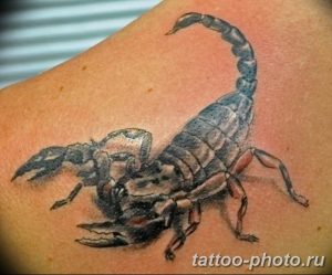 Фото рисунка скорпион 24.11.2018 №409 - photo tattoo scorpion - tattoo-photo.ru