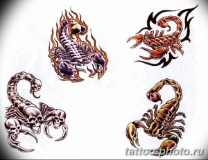 Фото рисунка скорпион 24.11.2018 №410 - photo tattoo scorpion - tattoo-photo.ru