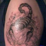 Фото рисунка скорпион 24.11.2018 №414 - photo tattoo scorpion - tattoo-photo.ru