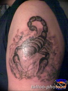 Фото рисунка скорпион 24.11.2018 №414 - photo tattoo scorpion - tattoo-photo.ru