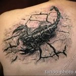 Фото рисунка скорпион 24.11.2018 №415 - photo tattoo scorpion - tattoo-photo.ru