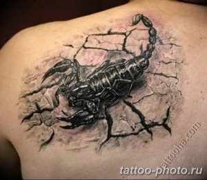Фото рисунка скорпион 24.11.2018 №415 - photo tattoo scorpion - tattoo-photo.ru