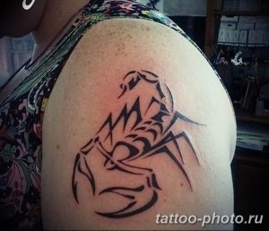 Фото рисунка скорпион 24.11.2018 №417 - photo tattoo scorpion - tattoo-photo.ru
