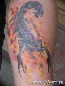 Фото рисунка скорпион 24.11.2018 №418 - photo tattoo scorpion - tattoo-photo.ru