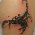 Фото рисунка скорпион 24.11.2018 №419 - photo tattoo scorpion - tattoo-photo.ru