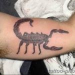 Фото рисунка скорпион 24.11.2018 №421 - photo tattoo scorpion - tattoo-photo.ru