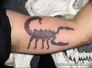 Фото рисунка скорпион 24.11.2018 №421 - photo tattoo scorpion - tattoo-photo.ru