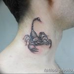 Фото рисунка скорпион 24.11.2018 №423 - photo tattoo scorpion - tattoo-photo.ru