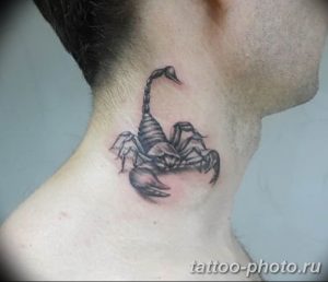 Фото рисунка скорпион 24.11.2018 №423 - photo tattoo scorpion - tattoo-photo.ru