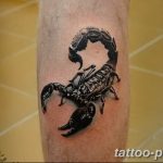 Фото рисунка скорпион 24.11.2018 №424 - photo tattoo scorpion - tattoo-photo.ru