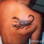 Фото рисунка скорпион 24.11.2018 №425 - photo tattoo scorpion - tattoo-photo.ru