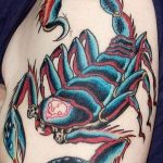 Фото рисунка скорпион 24.11.2018 №426 - photo tattoo scorpion - tattoo-photo.ru