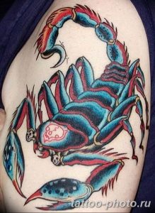 Фото рисунка скорпион 24.11.2018 №426 - photo tattoo scorpion - tattoo-photo.ru