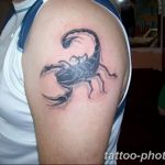 Фото рисунка скорпион 24.11.2018 №427 - photo tattoo scorpion - tattoo-photo.ru