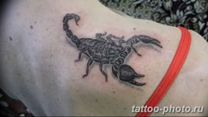 Фото рисунка скорпион 24.11.2018 №430 - photo tattoo scorpion - tattoo-photo.ru