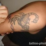 Фото рисунка скорпион 24.11.2018 №431 - photo tattoo scorpion - tattoo-photo.ru