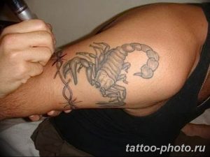Фото рисунка скорпион 24.11.2018 №431 - photo tattoo scorpion - tattoo-photo.ru