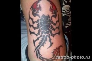 Фото рисунка скорпион 24.11.2018 №432 - photo tattoo scorpion - tattoo-photo.ru