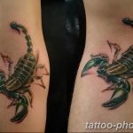 Фото рисунка скорпион 24.11.2018 №434 - photo tattoo scorpion - tattoo-photo.ru