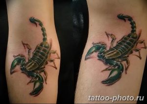 Фото рисунка скорпион 24.11.2018 №434 - photo tattoo scorpion - tattoo-photo.ru