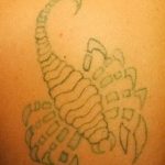 Фото рисунка скорпион 24.11.2018 №435 - photo tattoo scorpion - tattoo-photo.ru