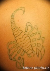 Фото рисунка скорпион 24.11.2018 №435 - photo tattoo scorpion - tattoo-photo.ru