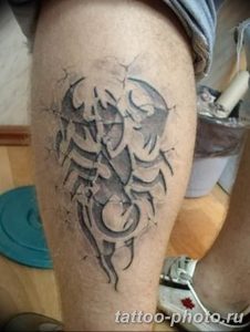 Фото рисунка скорпион 24.11.2018 №436 - photo tattoo scorpion - tattoo-photo.ru