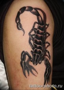 Фото рисунка скорпион 24.11.2018 №437 - photo tattoo scorpion - tattoo-photo.ru