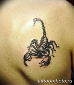 Фото рисунка скорпион 24.11.2018 №441 - photo tattoo scorpion - tattoo-photo.ru