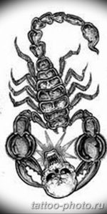 Фото рисунка скорпион 24.11.2018 №444 - photo tattoo scorpion - tattoo-photo.ru